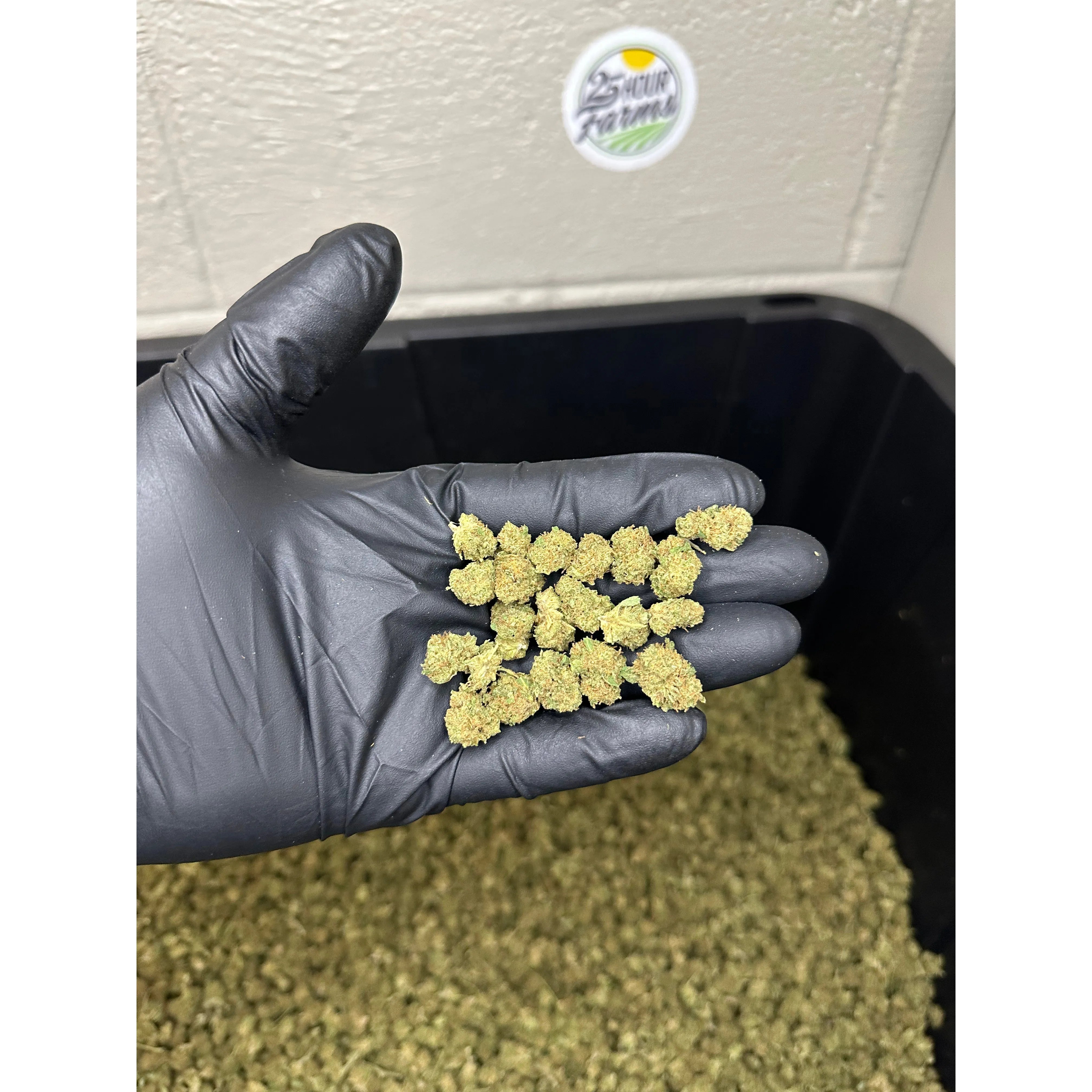 Biscotti Hemp Flower Smalls
